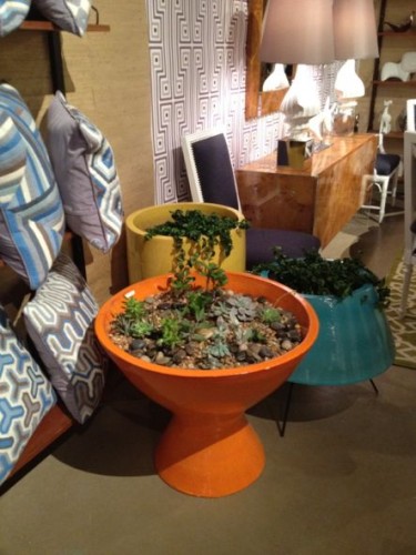 IMG_0935 planters