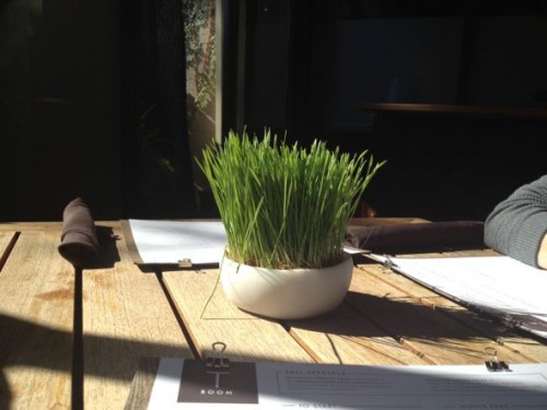 IMG_2698 potted grass, charleston interior design ideas