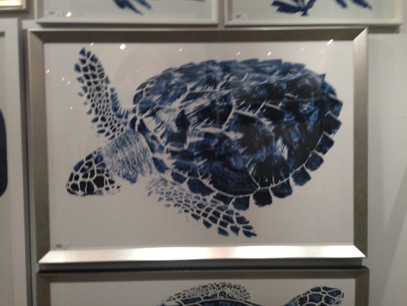 Image 5 Turtle Art- MDI