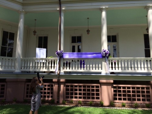 photo 1 (3)