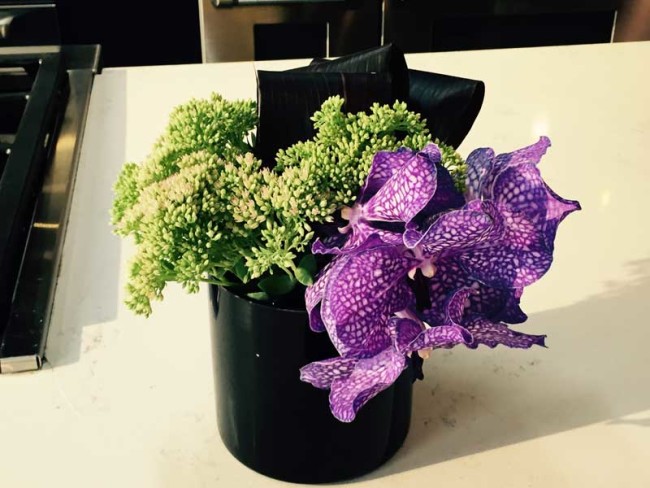 orchids